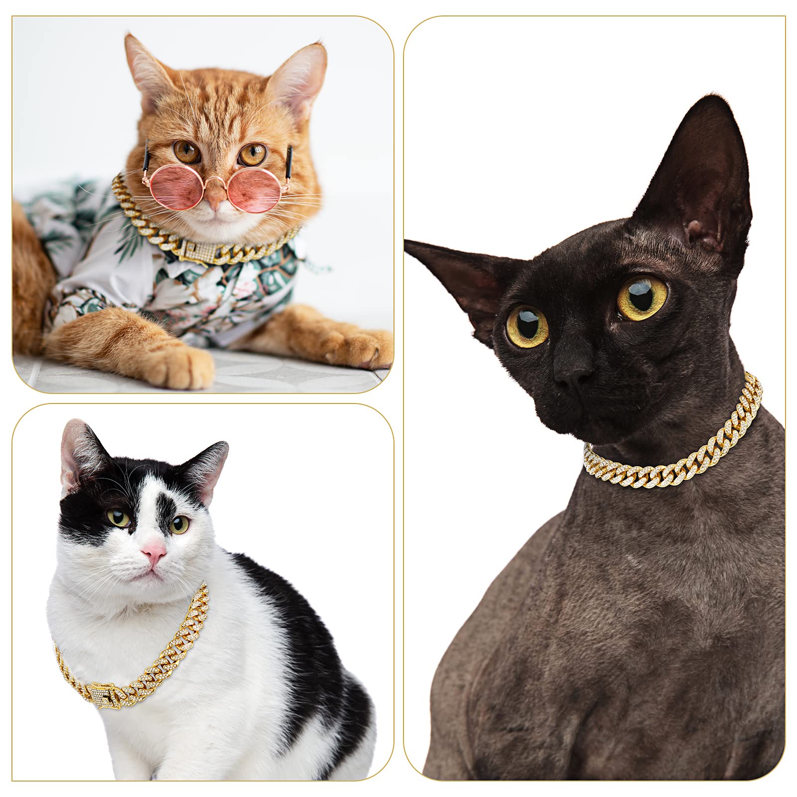 Tallew collar-dorado-perro, aspecto elegante para salidas.