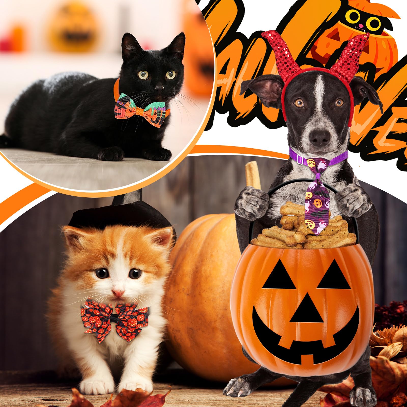 Talltalk diseño Halloween para perros, aporta estilo festivo y llamativo.