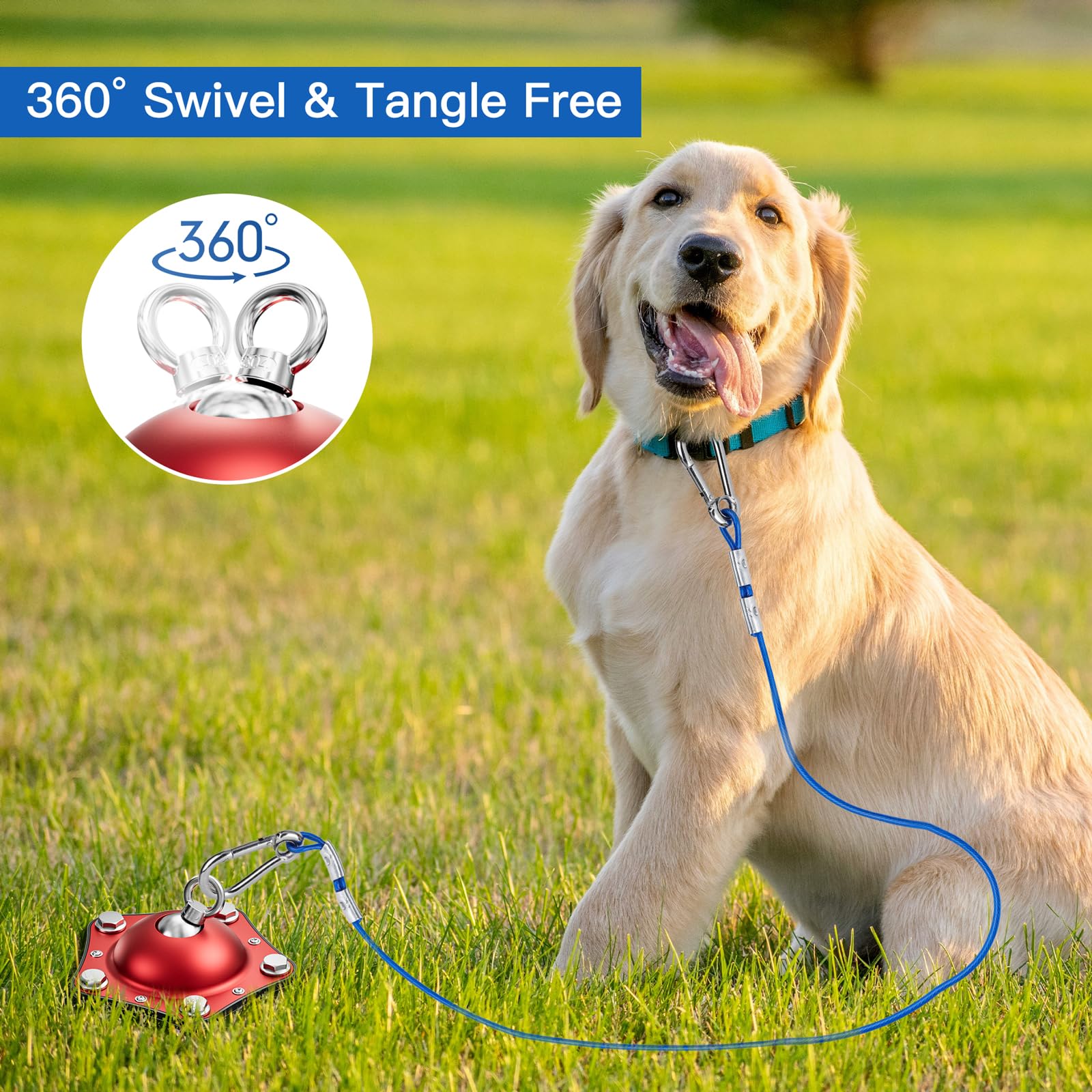 Uso ideal para campamentos y patios con perros de hasta 150 libras
