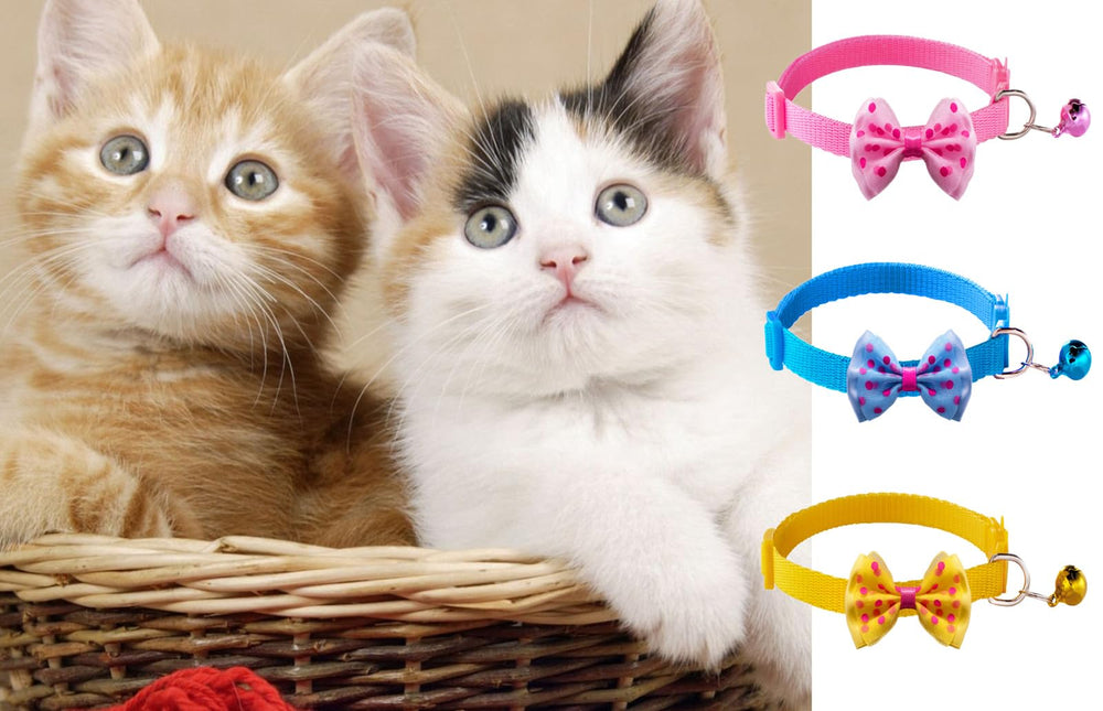 Collares TAMHOO ajustables para gatos, se adaptan a gatitos y pequeños.