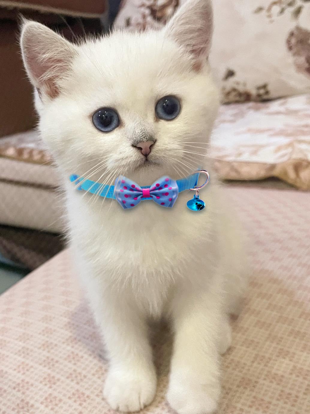 Collares TAMHOO para gatos con diseño de lazo rosa, cómodo y seguro para gatitos.