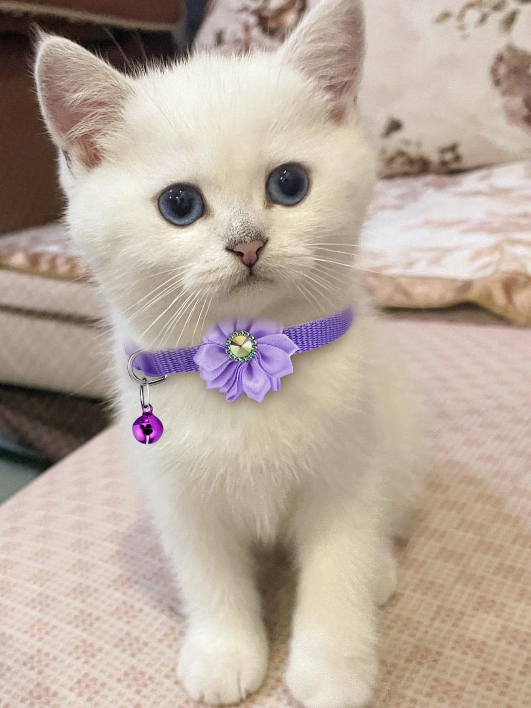 TAMHOO collar ajustable para gatos con campana, ajuste seguro para distintas medidas.