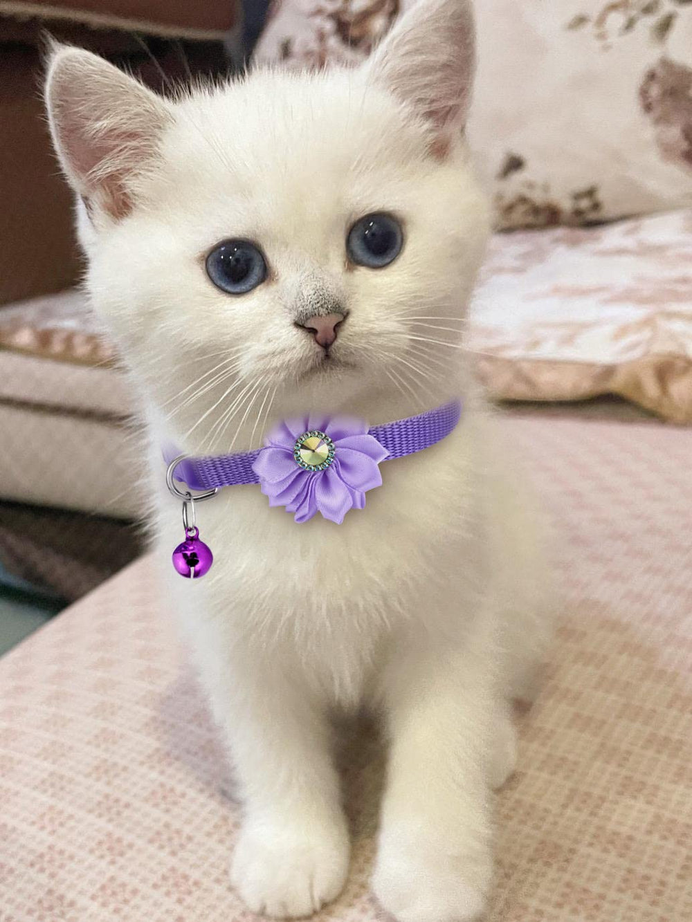 TAMHOO collar ajustable para gatos con campana, ajuste seguro para distintas medidas.