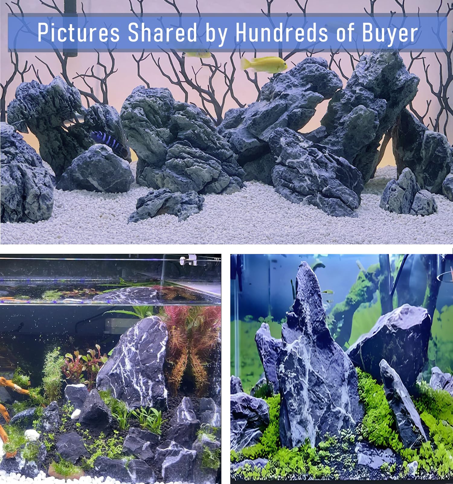 TankMatDecor Piedras Seiryu uso múltiple en acuarios, terrarios y paludarios