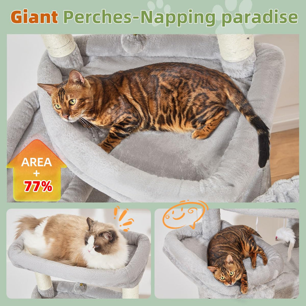 Taoqimiao condominio ancho XL para gatos grandes, descanso cómodo.
