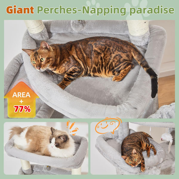 Taoqimiao condominio ancho XL para gatos grandes, descanso cómodo.