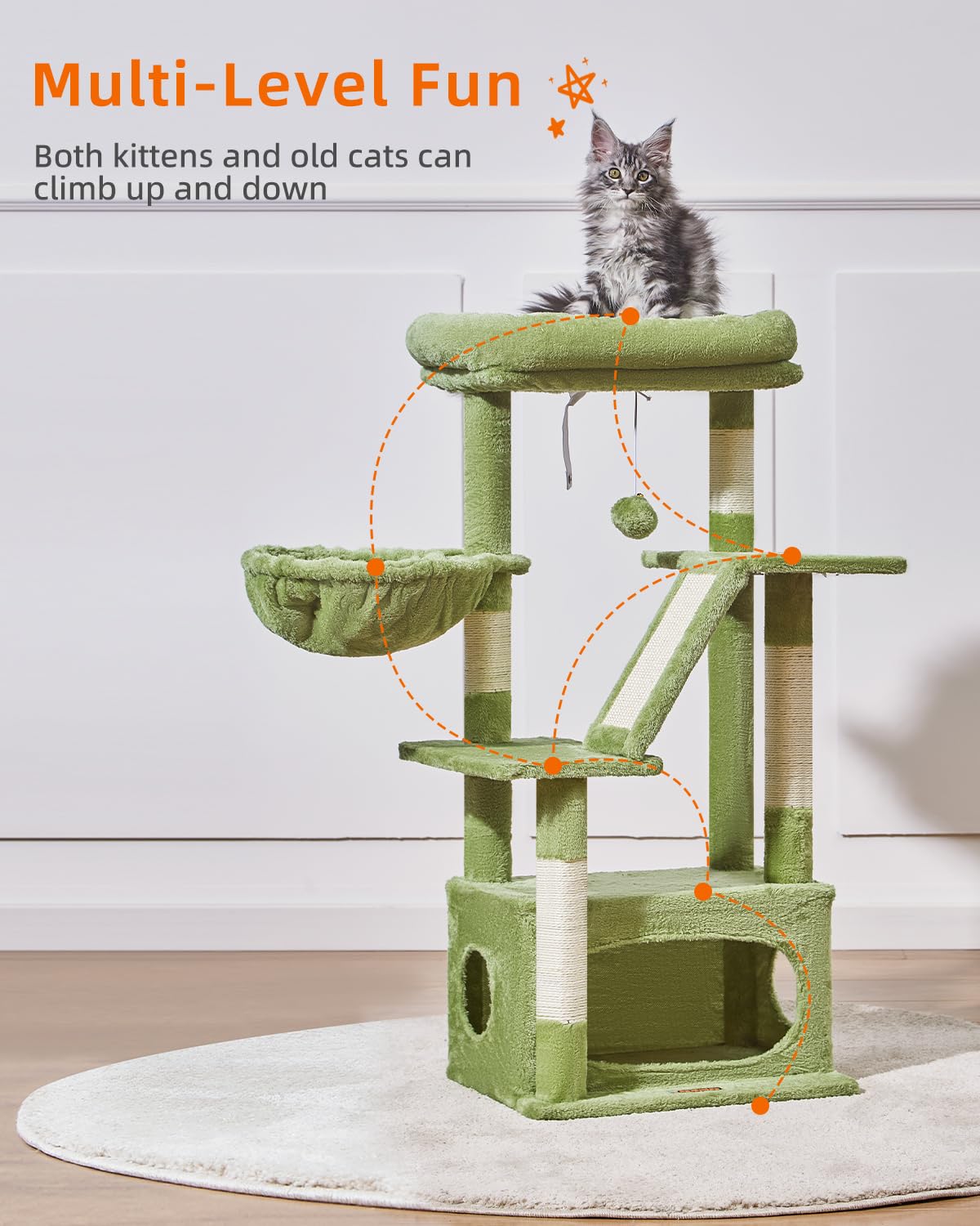 Taoqimiao para-gatitos: apto para gatitos y exploración segura.