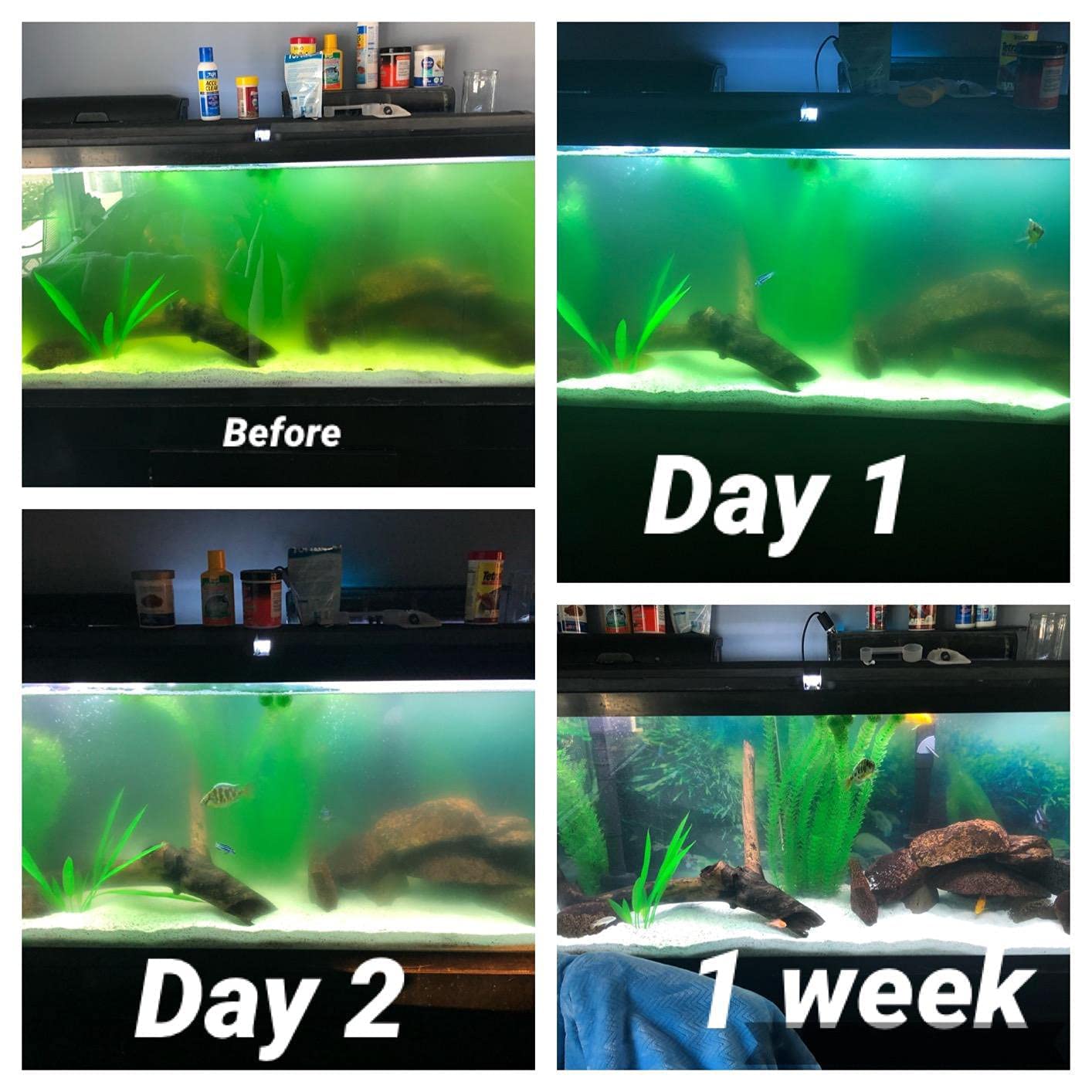 Tararium claridad de agua en acuario con luz 7W para agua más transparente.