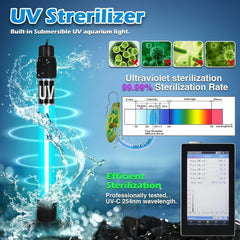 Tararium genera olas para simular movimiento natural del agua.