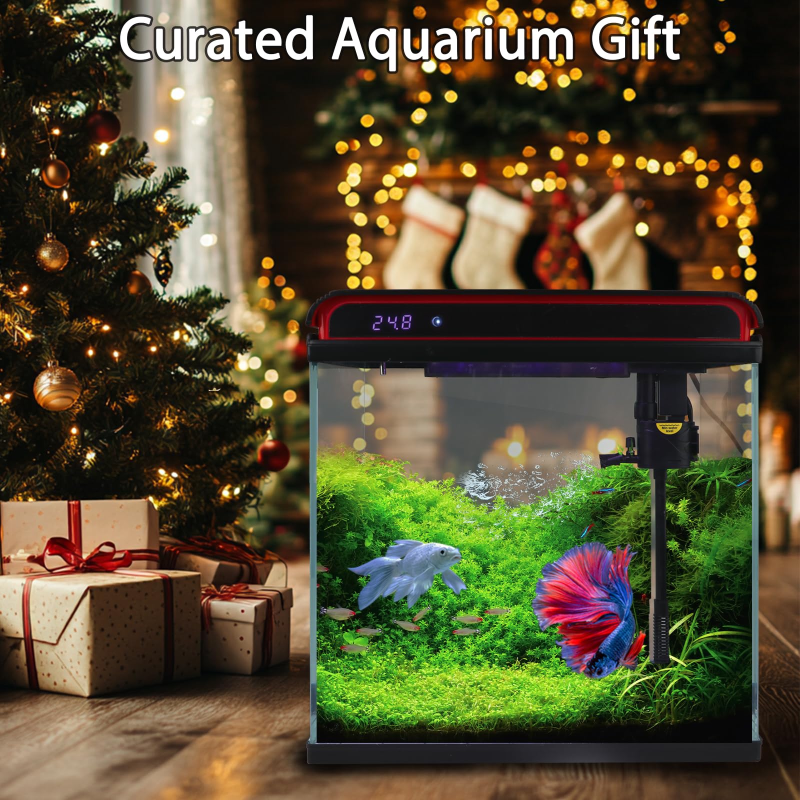 Vidrio transparente de TARARIUM para una vista nítida y atractiva