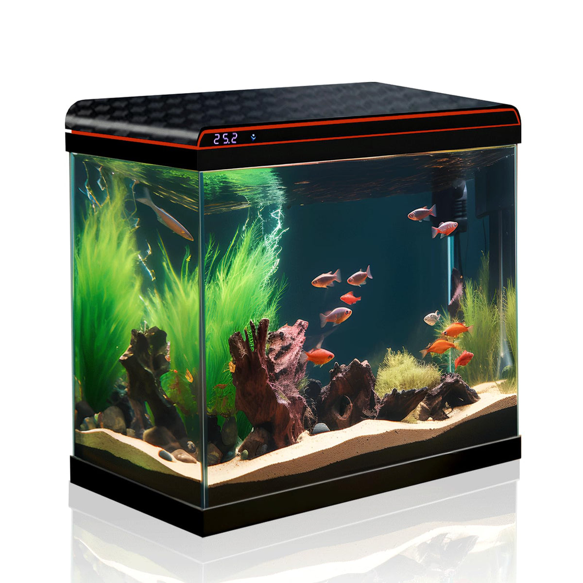 Pecera TARARIUM 10 galones, vista frontal para observar peces con claridad