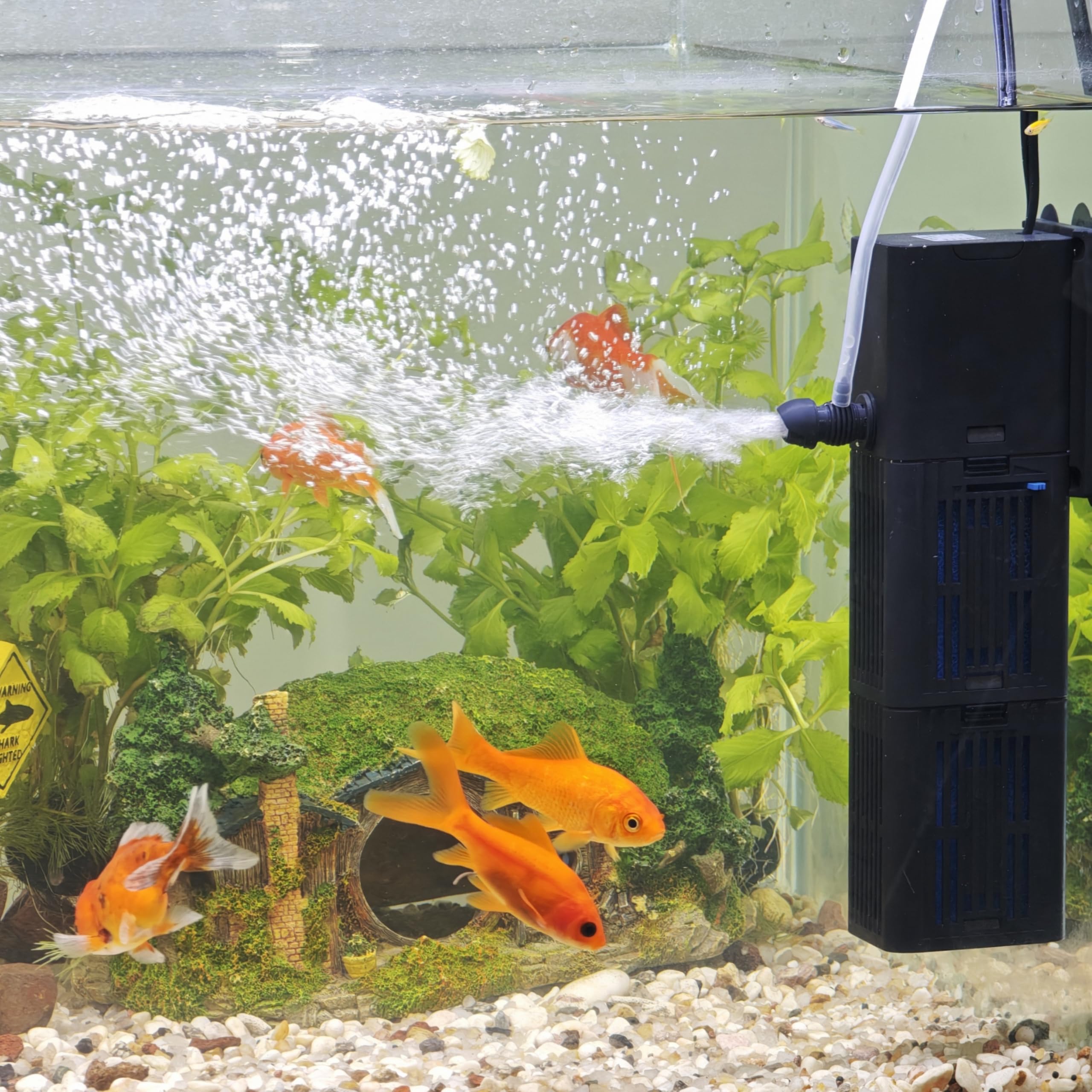 Rendimiento de flujo TARARIUM para tanques grandes: ideal para acuarios variados.