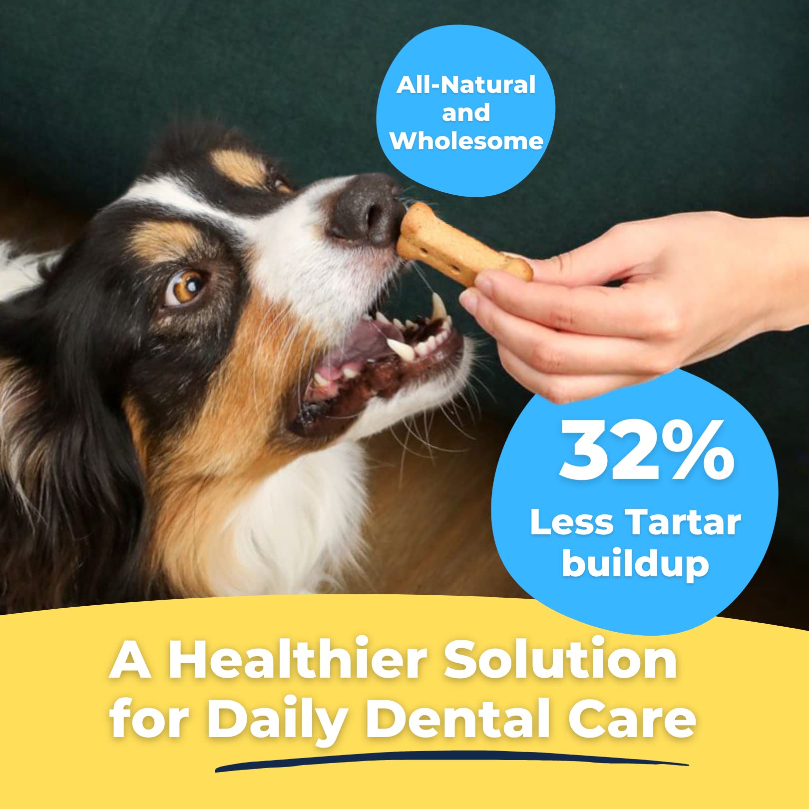 Tartar Shield galleta dental crujiente, sabor pollo para perros.