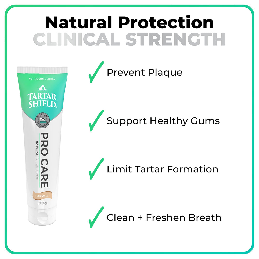 Tartar Shield Pro Care cuida los dientes de tu gato.