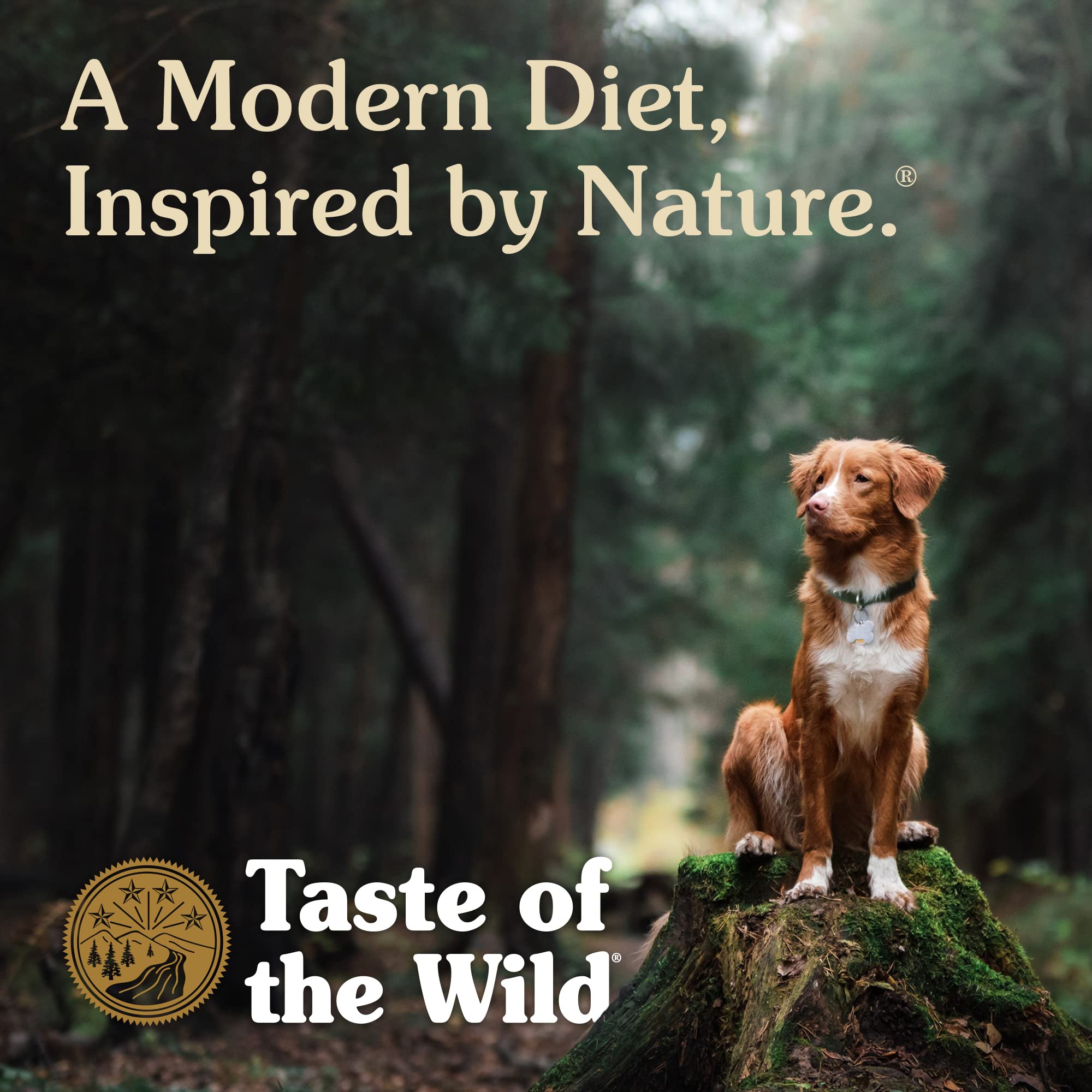 Taste of the Wild Ancient Stream hecho en EE. UU. con ingredientes de calidad