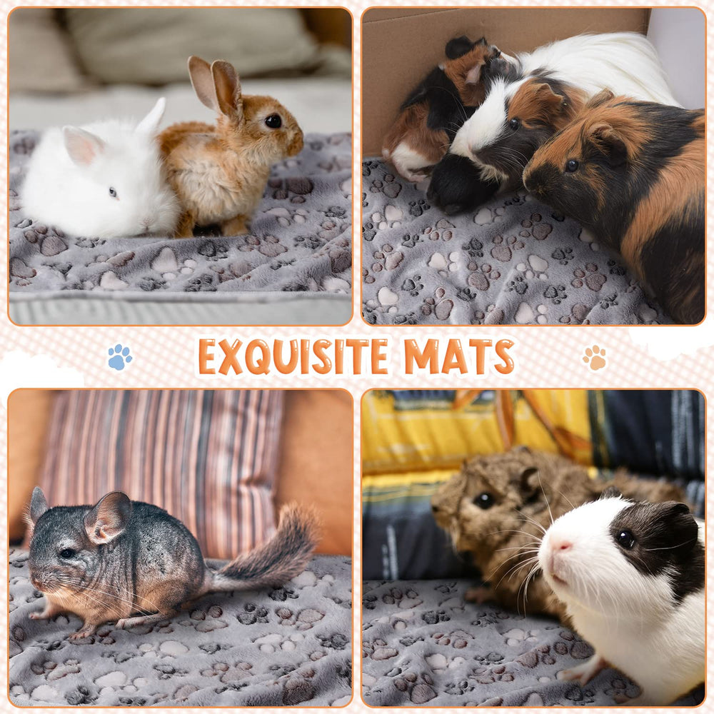 Manta Tatuo tamaño extragrande para mascotas múltiples.