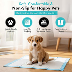 TBM pañales para cachorros, respaldo impermeable protege suelos.