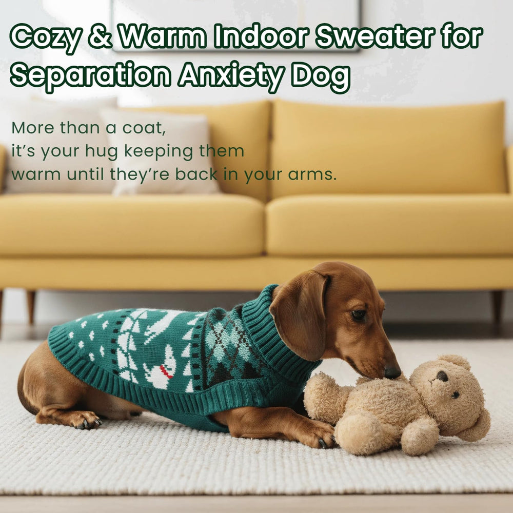 Ropa ligera T'CHAQUE para dachshund, apta para interiores y exteriores.
