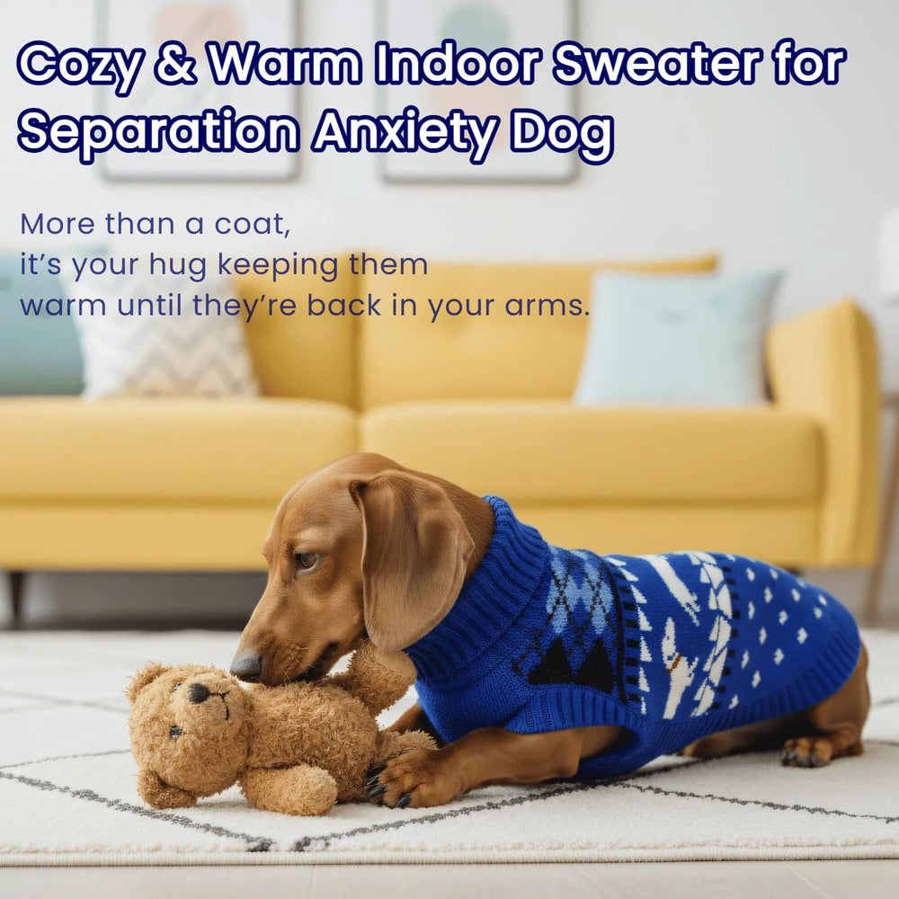 T'CHAQUE suéter dachshund ajuste espalda completo para cuerpos alargados