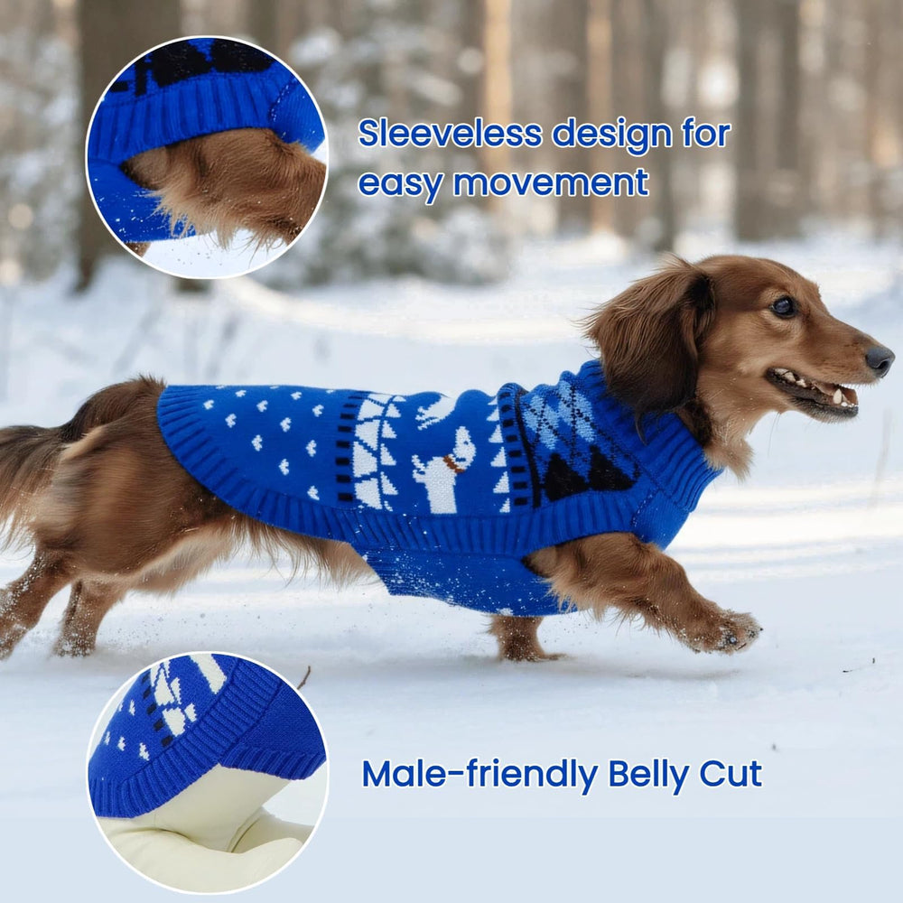 T'CHAQUE suéter dachshund azul-verde: tonalidades llamativas y cómodo