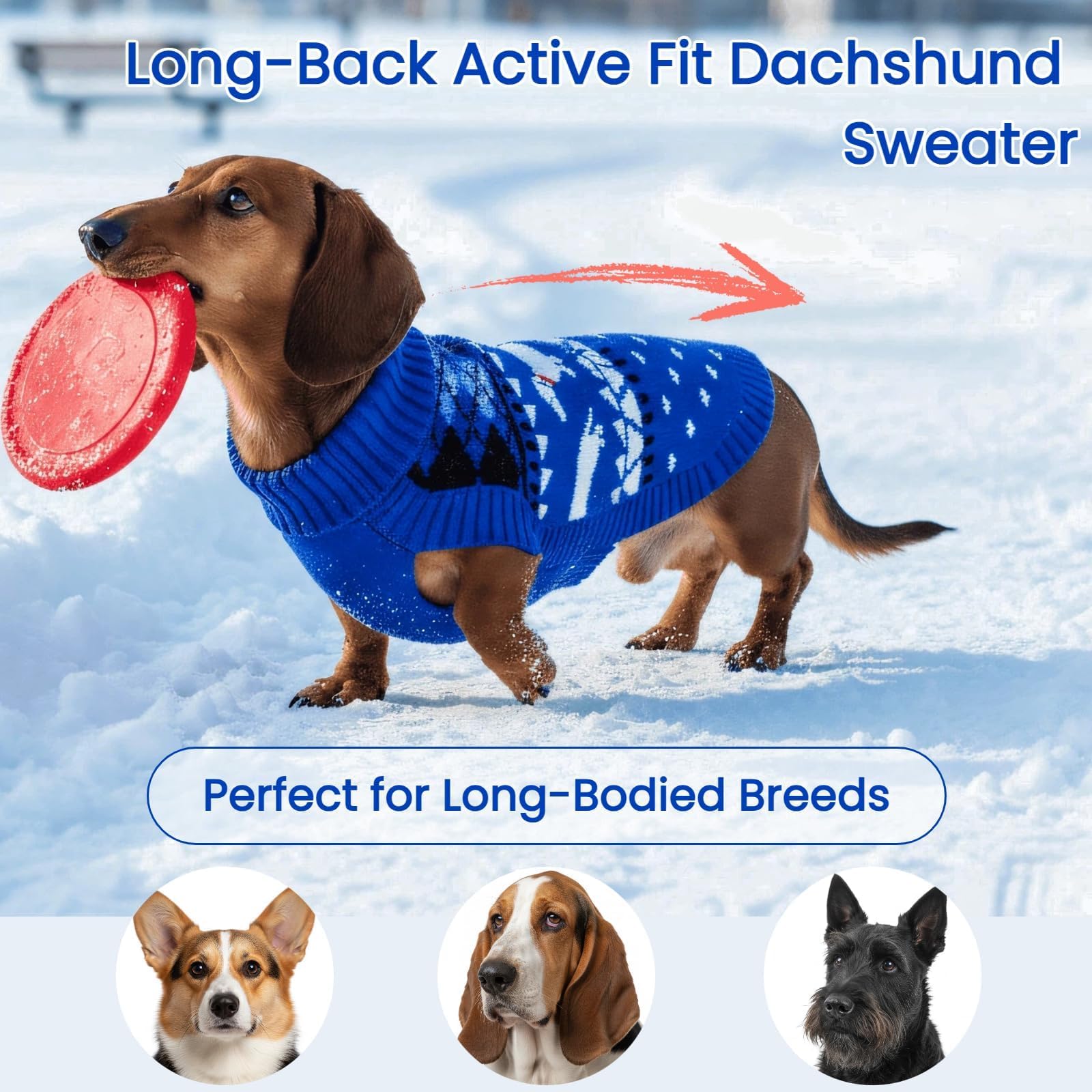 T'CHAQUE suéter dachshund lavado fácil: mantiene forma y suavidad