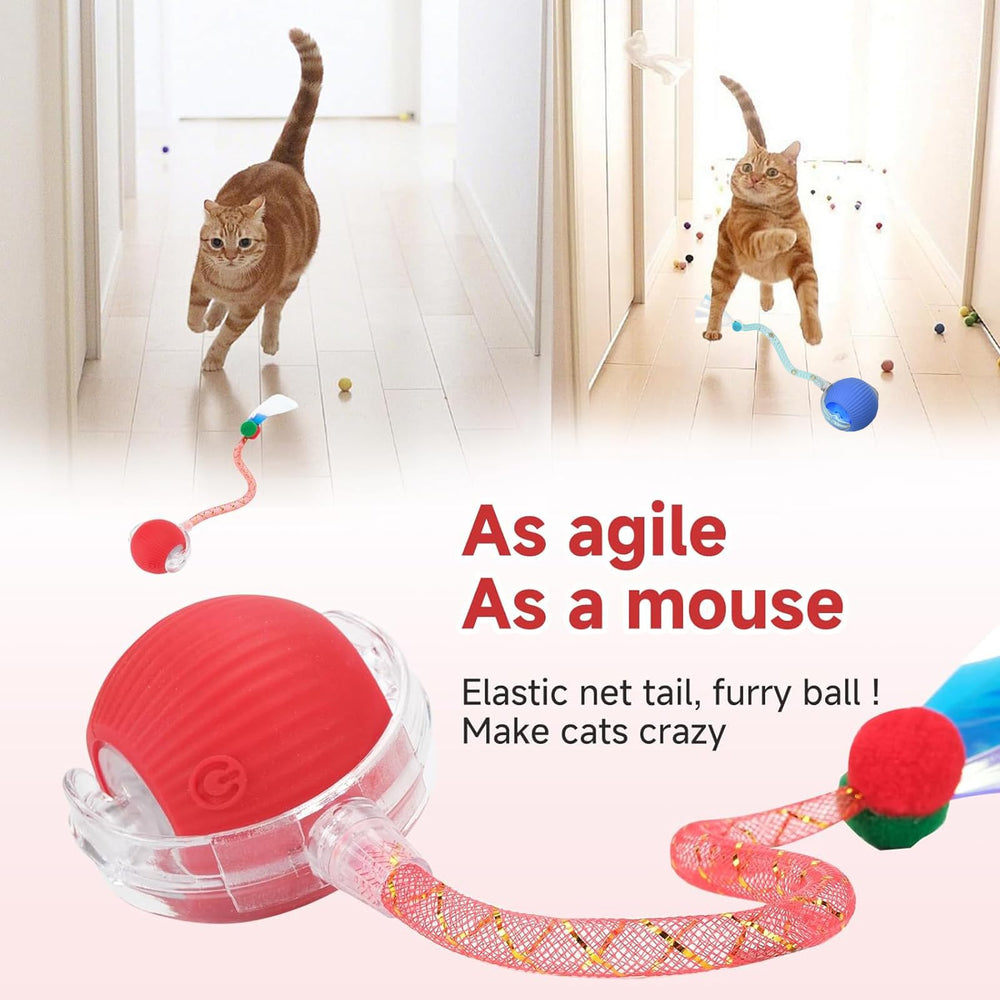 Bola interactiva Tchernt Speed 2.0 en movimiento para gatos activos.
