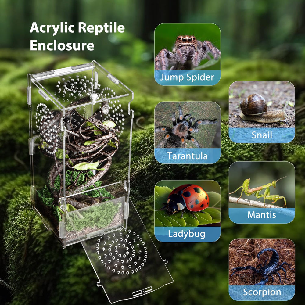 TCooSo caja acrílica para insectos y caracoles, decoración posible