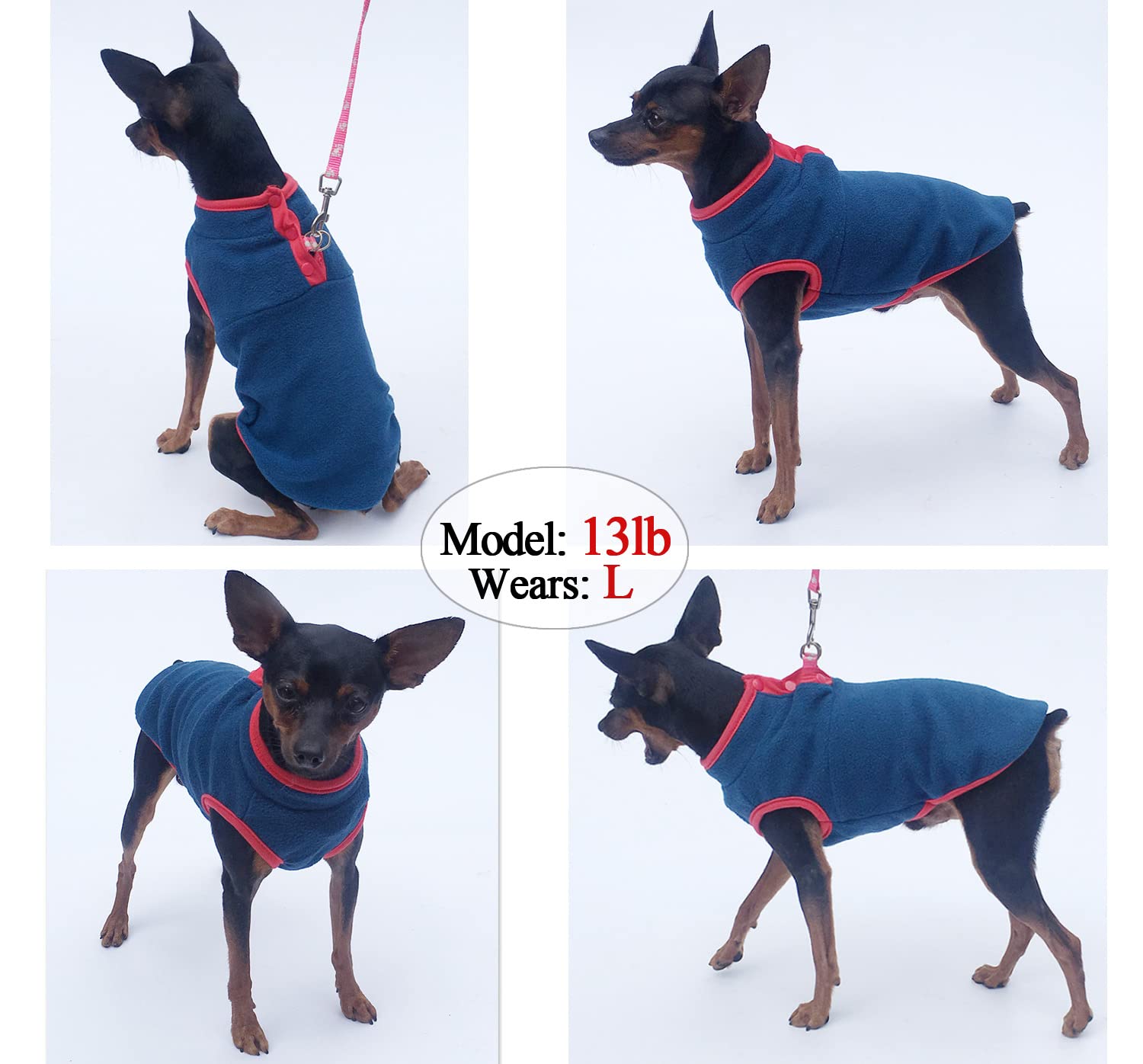 Tealots suéter para perros, trasera, protege contra el viento al salir.