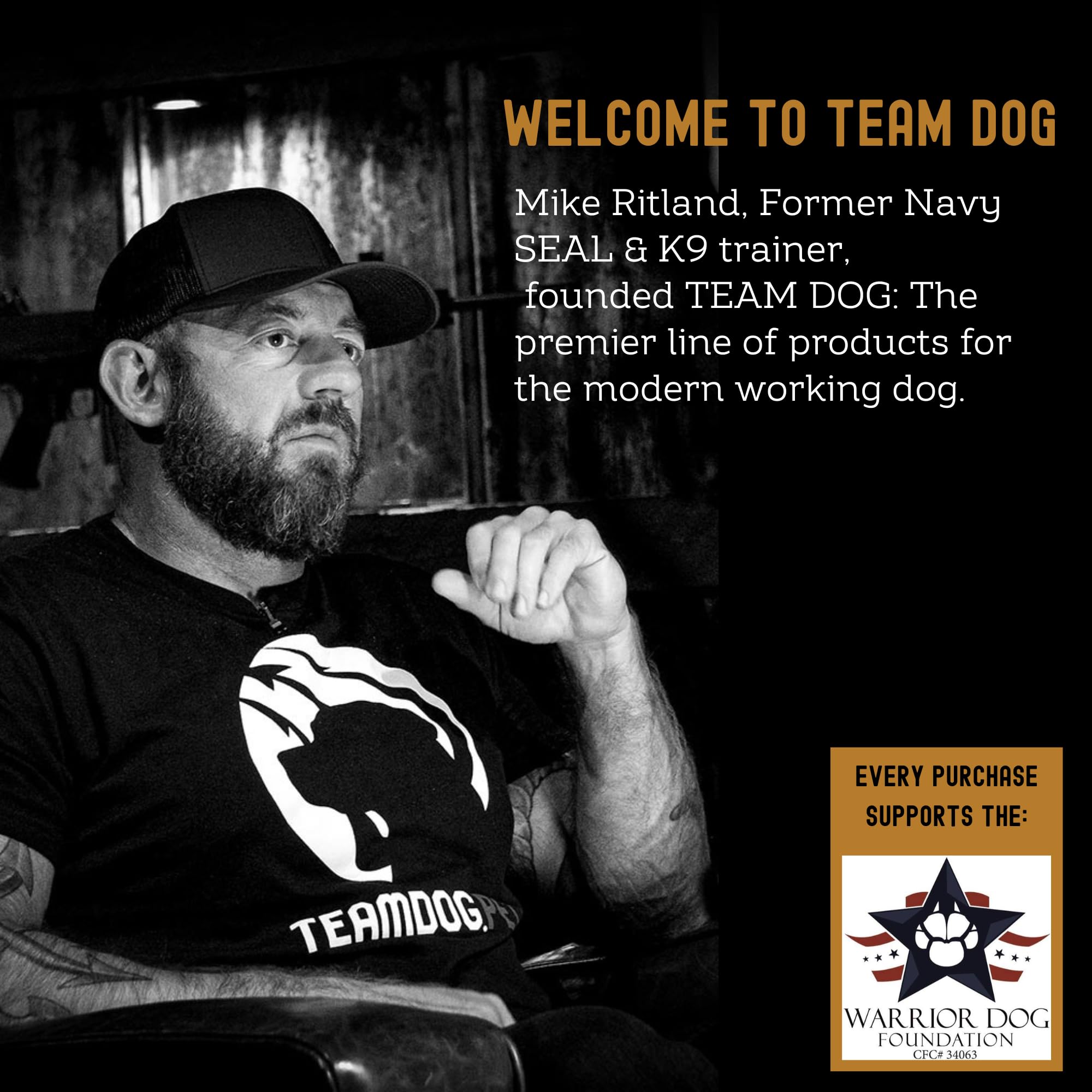 Team Dog premio de salmón para adiestramiento en interiores