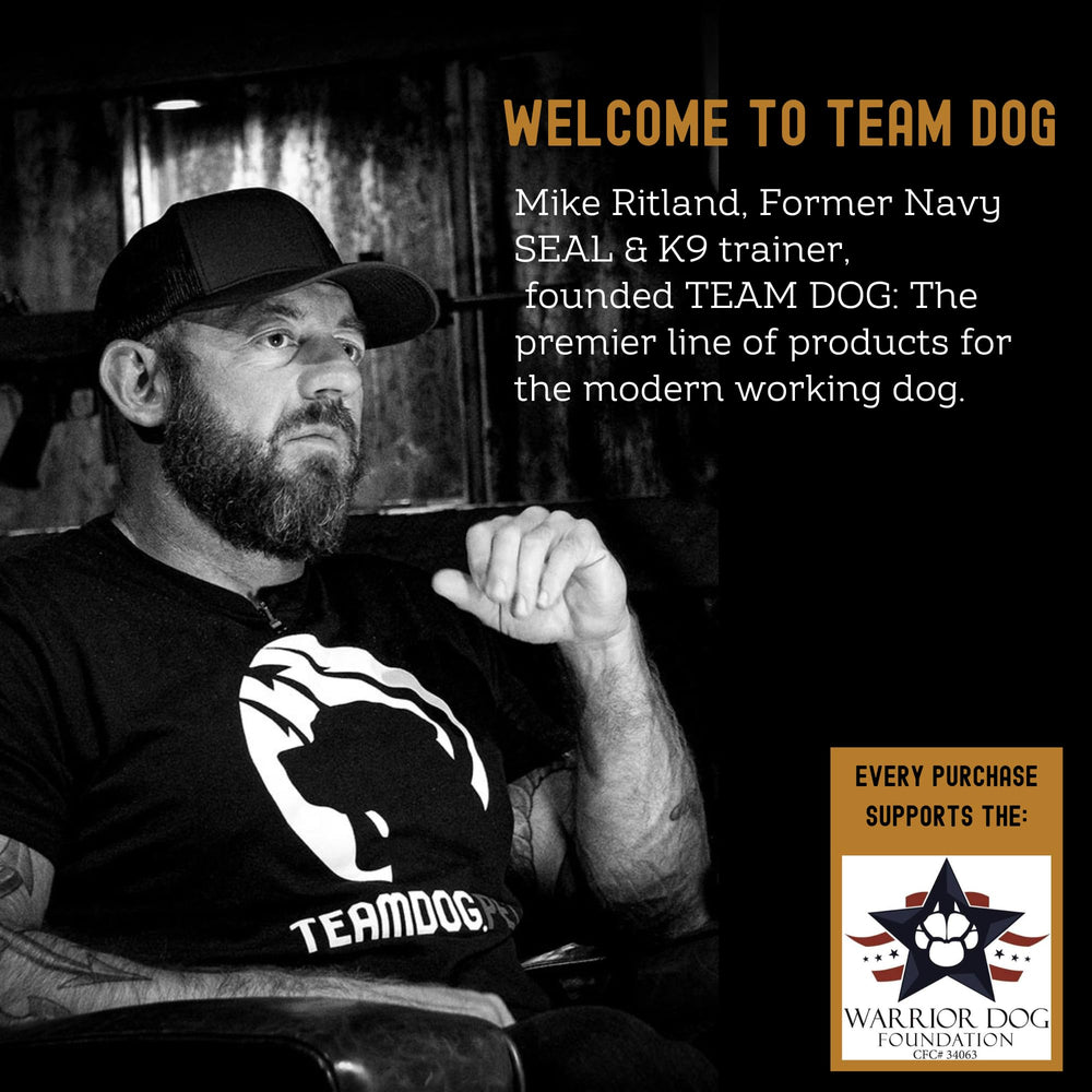 Team Dog premio de salmón para adiestramiento en interiores