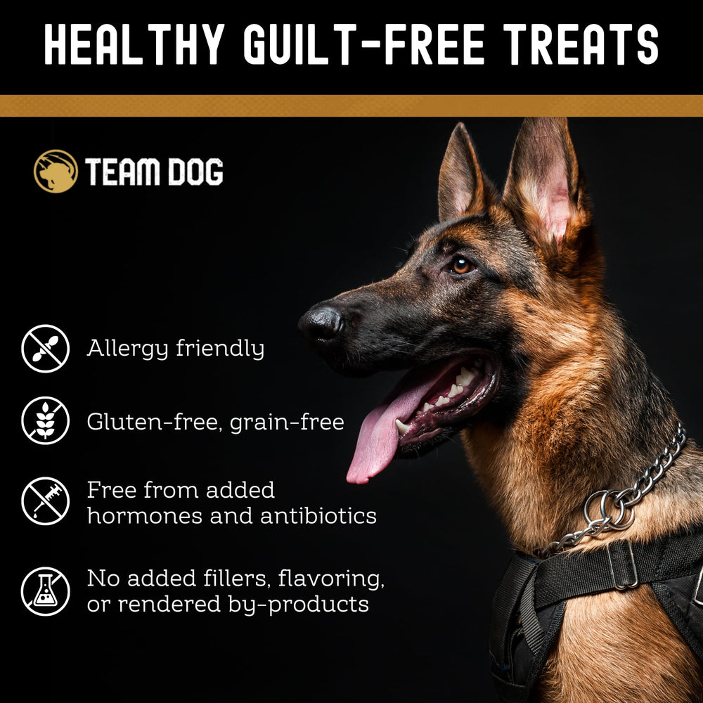 Team Dog salmón liofilizado, versátil para entrenamiento en casa