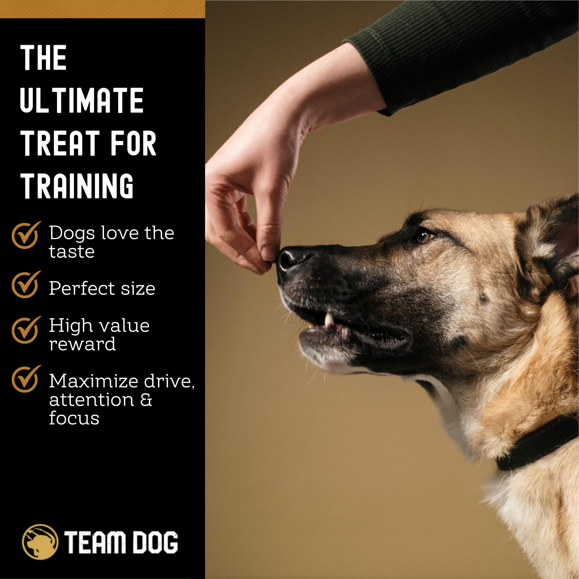 Team Dog trocitos liofilizados de salmón, fuente de omega para pelaje saludable