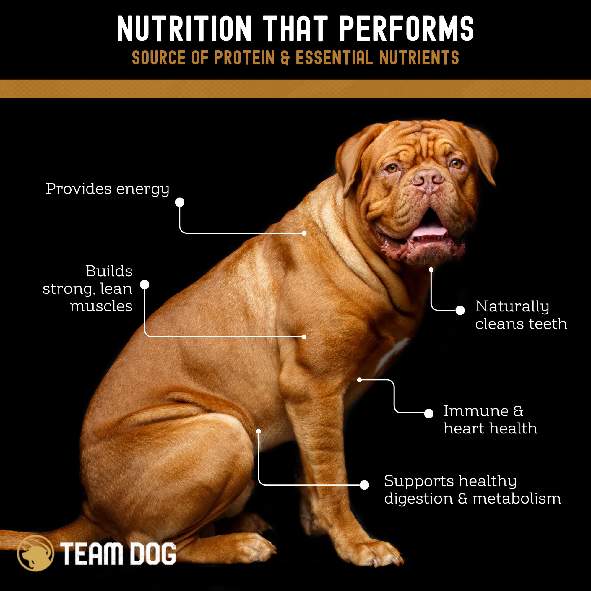 Team Dog sin hormonas ni antibióticos, snack natural para perros.
