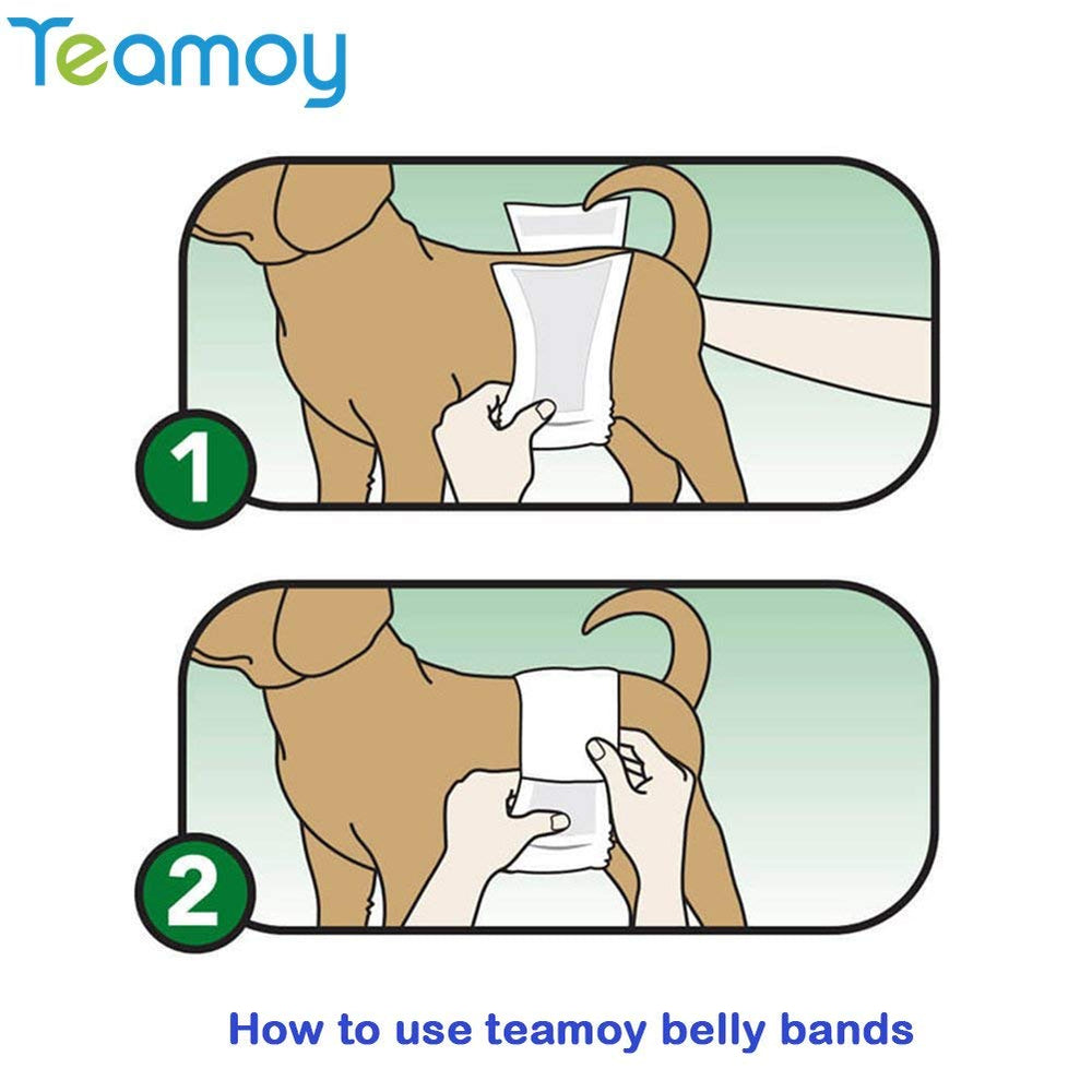 Teamoy pañal para perros cierre práctico para ajuste rápido