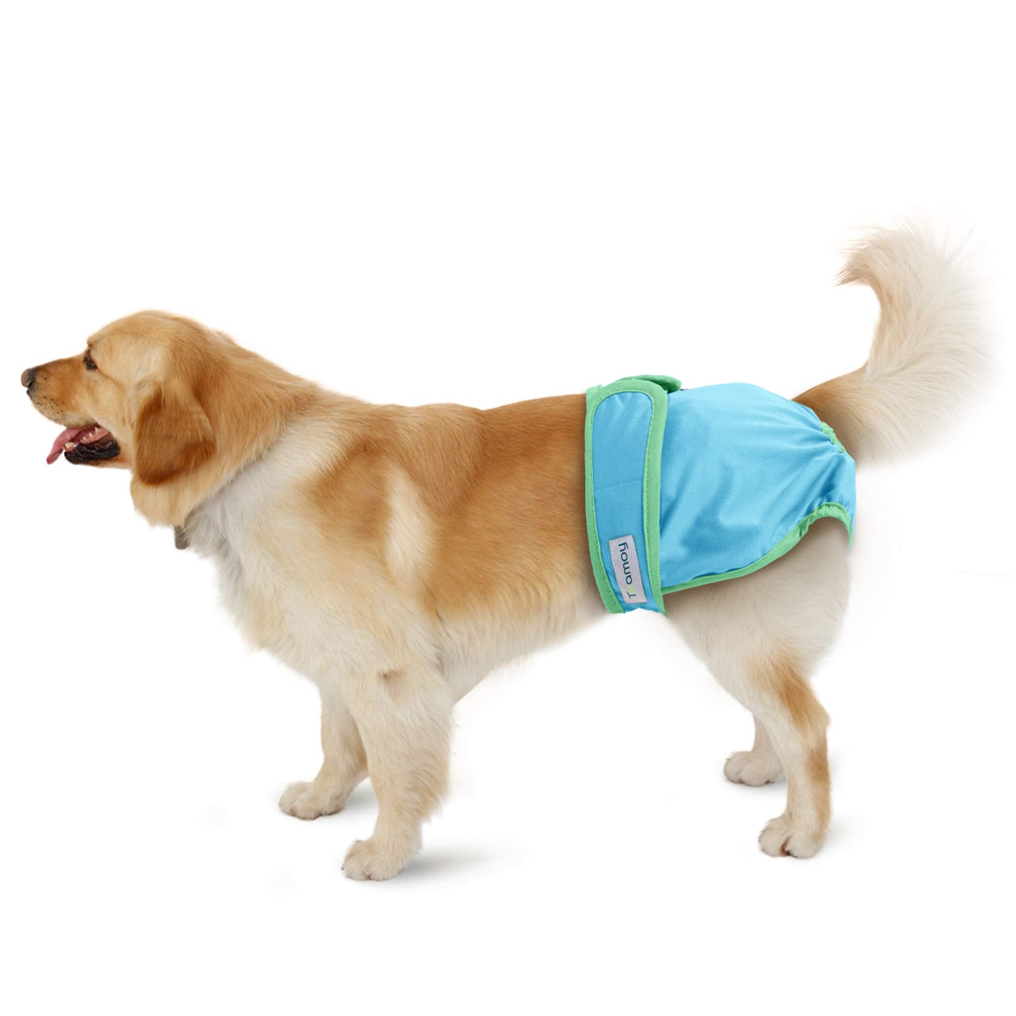 Teamoy pañales para perras útiles en entrenamiento y convivencia.