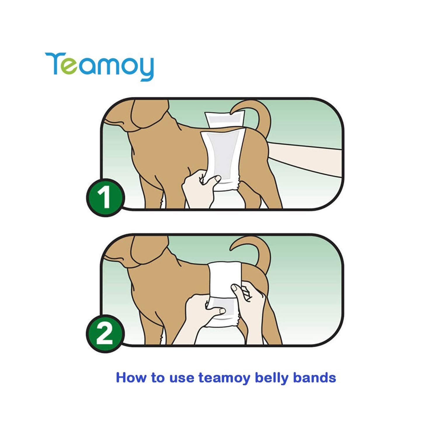 Teamoy paquete de tres bandas, ideal para rotar y mantener higiene.