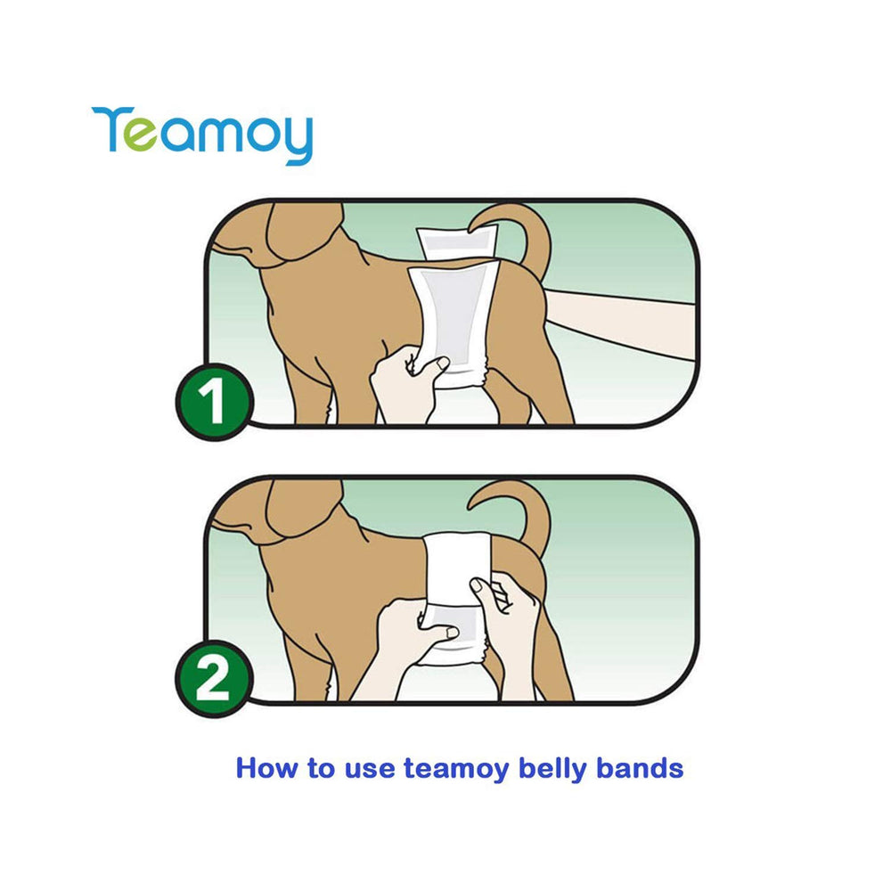 Teamoy paquete de tres bandas, ideal para rotar y mantener higiene.