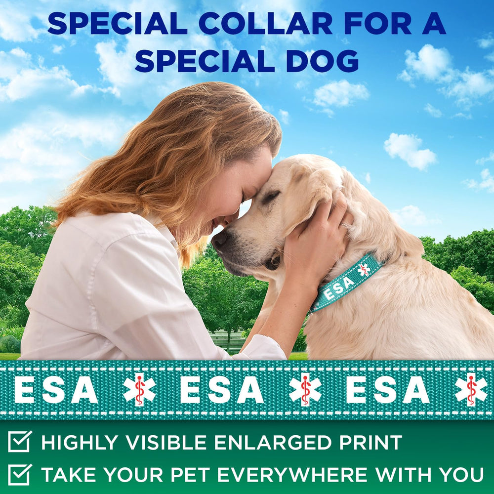 Collar TECEUM para mascotas con ESA y visibilidad nocturna mejorada