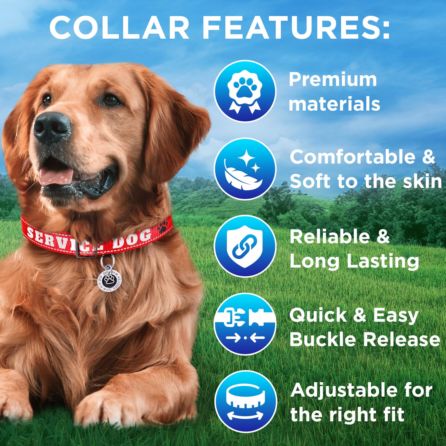 TECEUM collar de naylon suave y duradero, apto para todas las condiciones