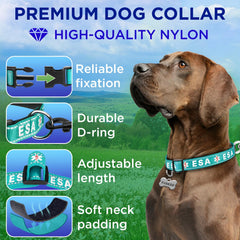 Collar TECEUM de nylon con neopreno acolchado para mayor confort del cuello