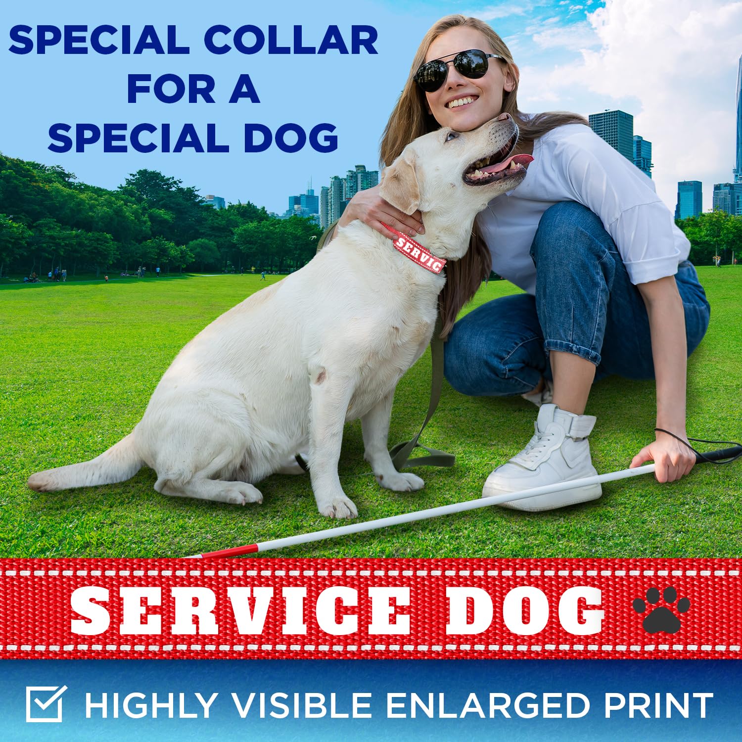 TECEUM collar con etiqueta de servicio claramente visible para perro de trabajo.