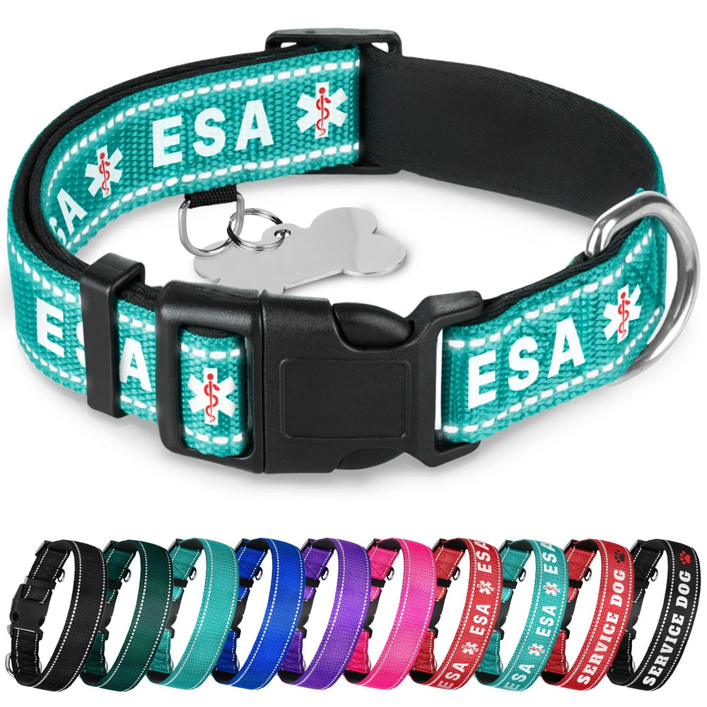 Collar TECEUM reflectivo en color azul verdoso ESA XS para mayor visibilidad nocturna