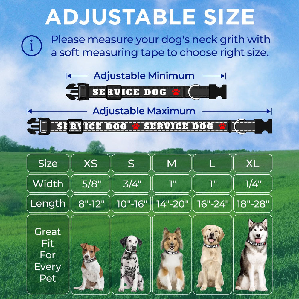 TECEUM collar con talla ajustable para perros y gatos.