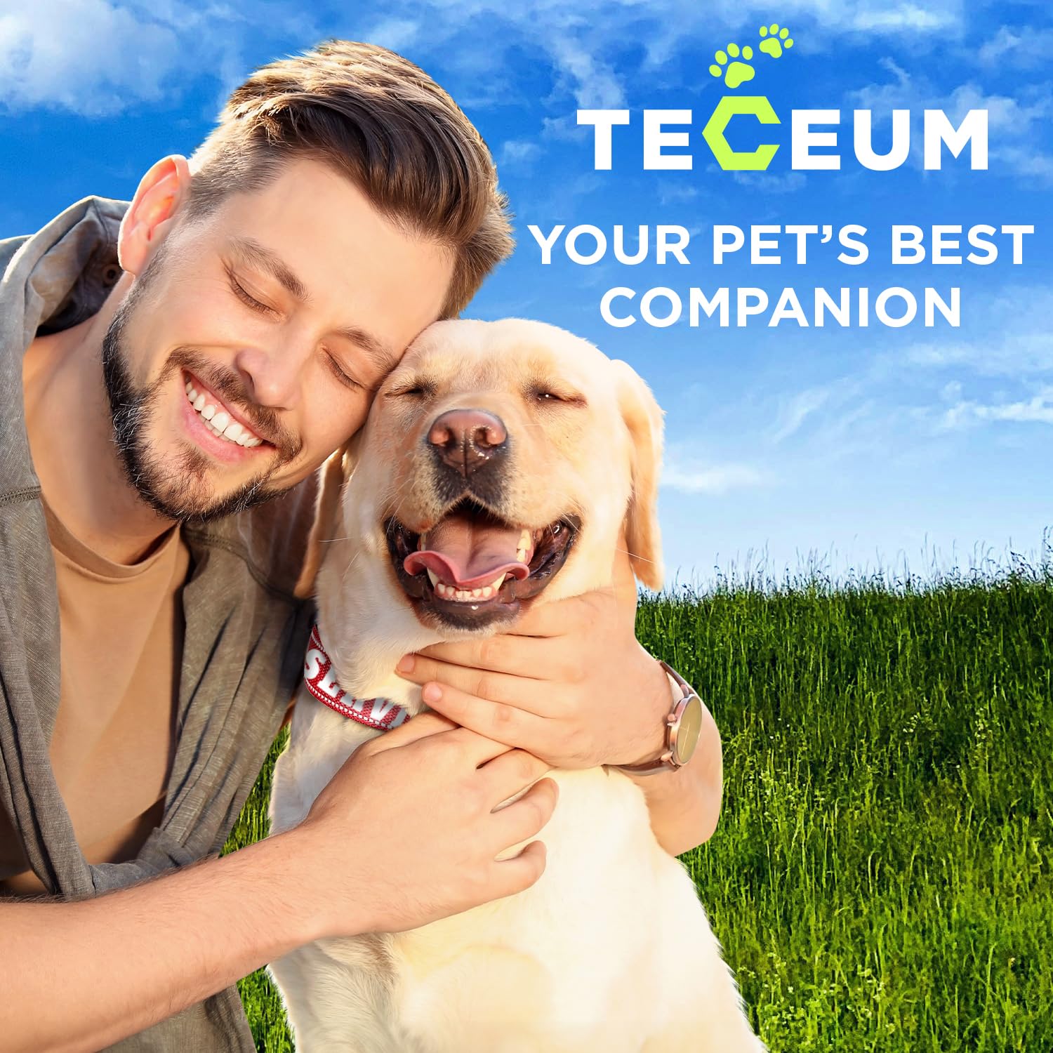 TECEUM collar ideal para perros de todo tamaño y gatos pequeños.