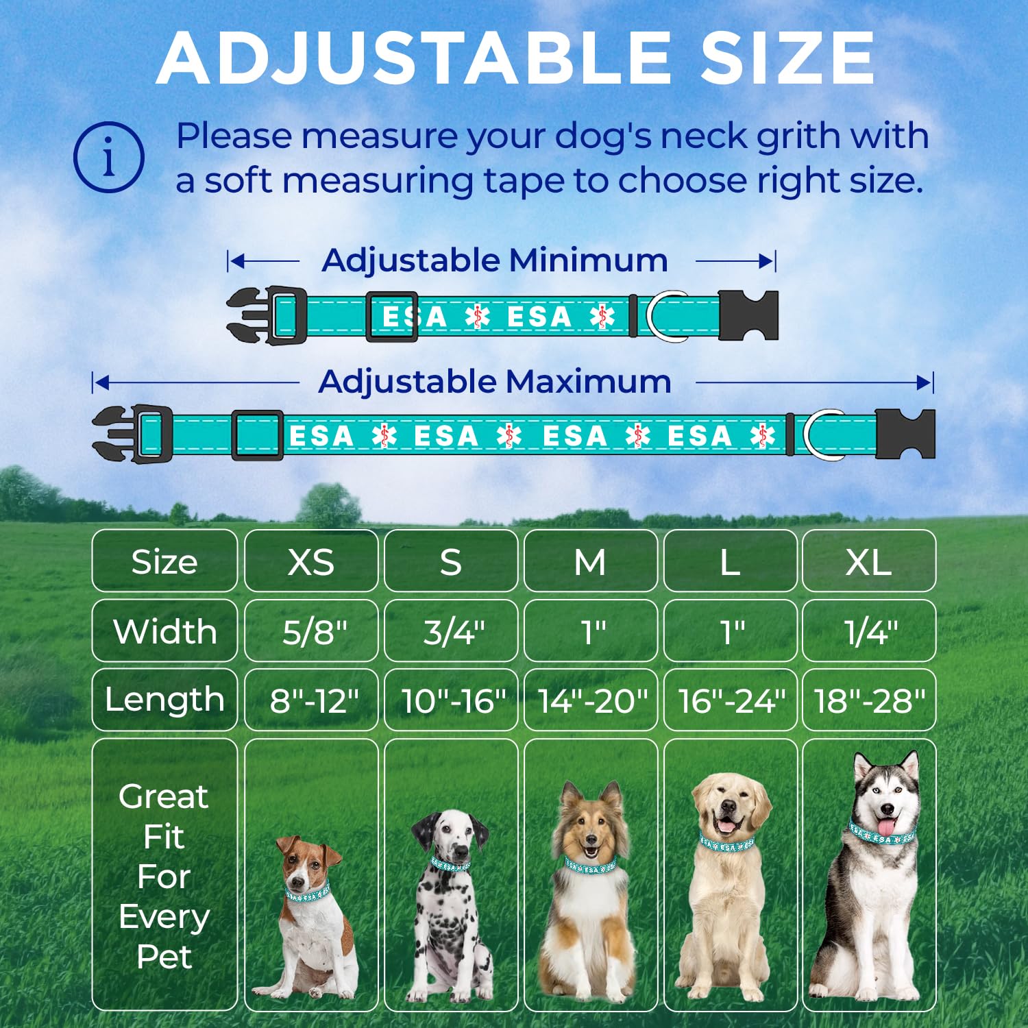 Tamaño ajustable TECEUM para perros y gatos de diferentes tallas
