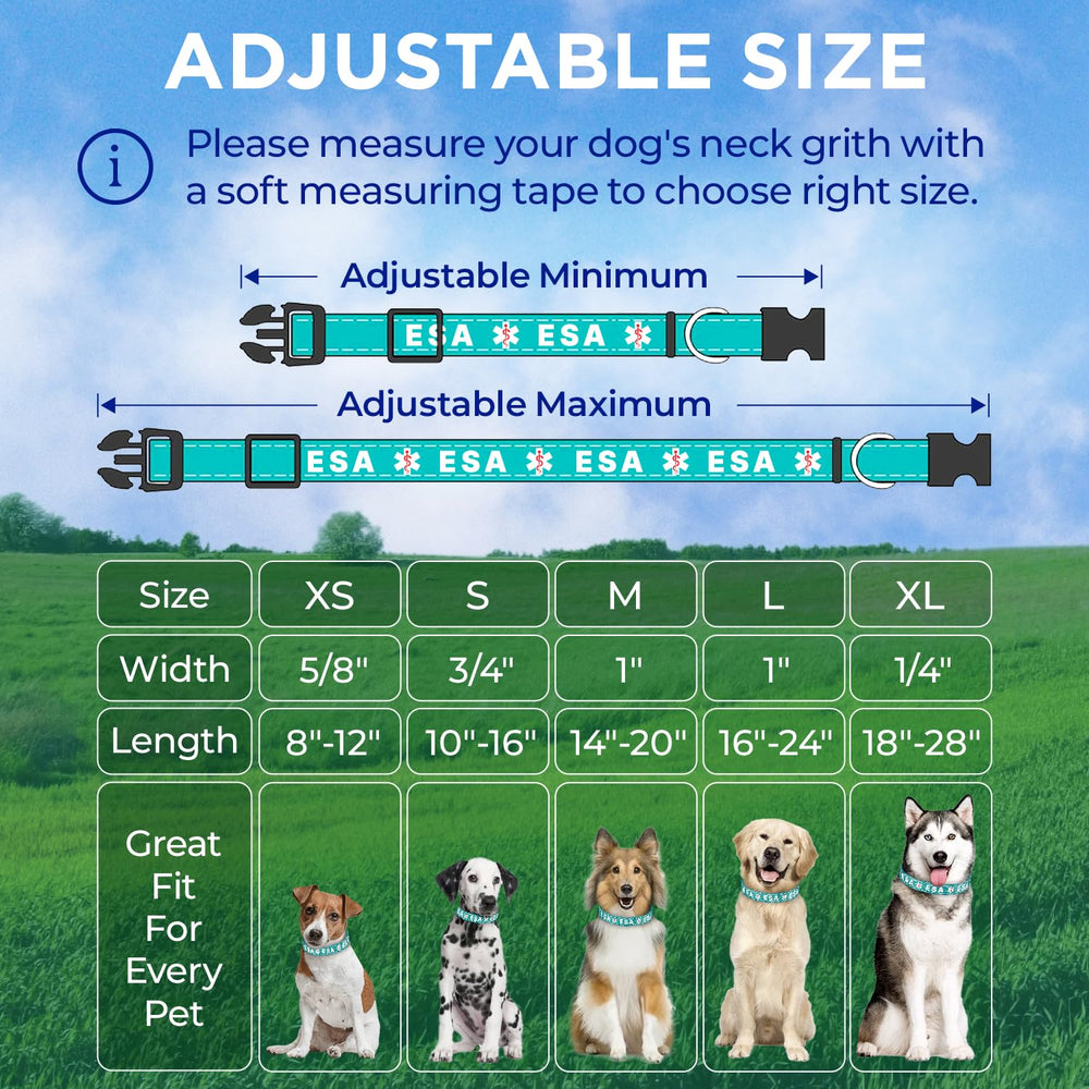 Tamaño ajustable TECEUM para perros y gatos de diferentes tallas