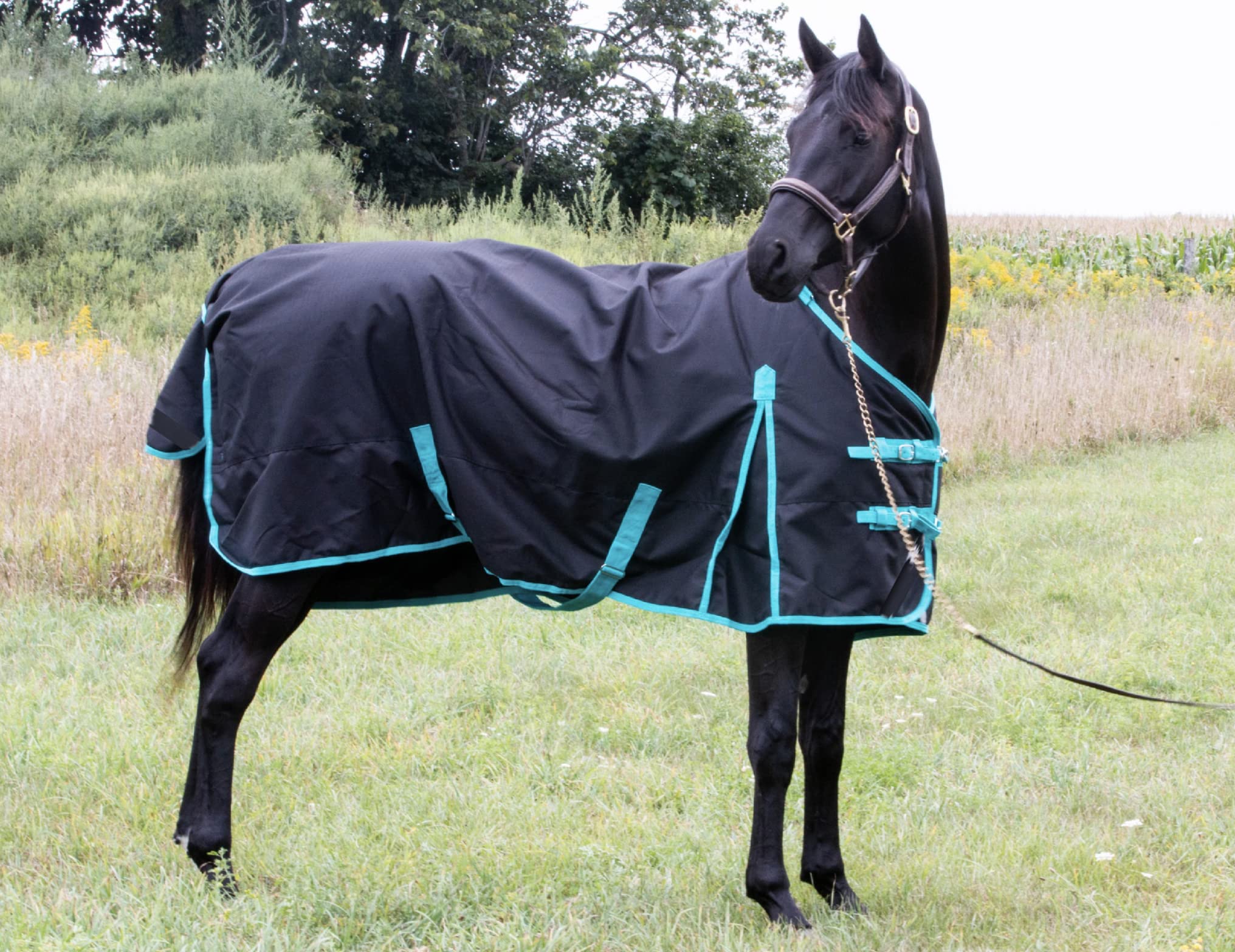 Tech Equestrian cobertor lluvia 1200denier costado: cobertura amplia para el caballo.