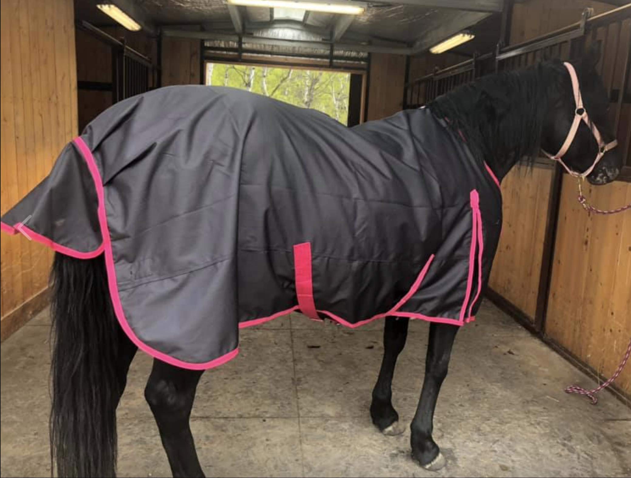 Manta Tech Equestrian 1200D, protección impermeable y transpirable para climas húmedos