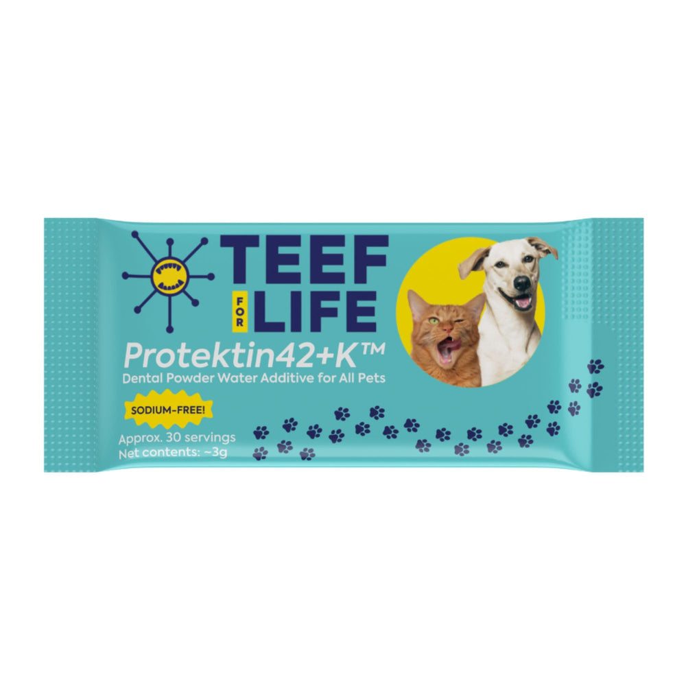 Envase de teef-for-life protektin42k para almacenamiento cómodo del polvo dental.