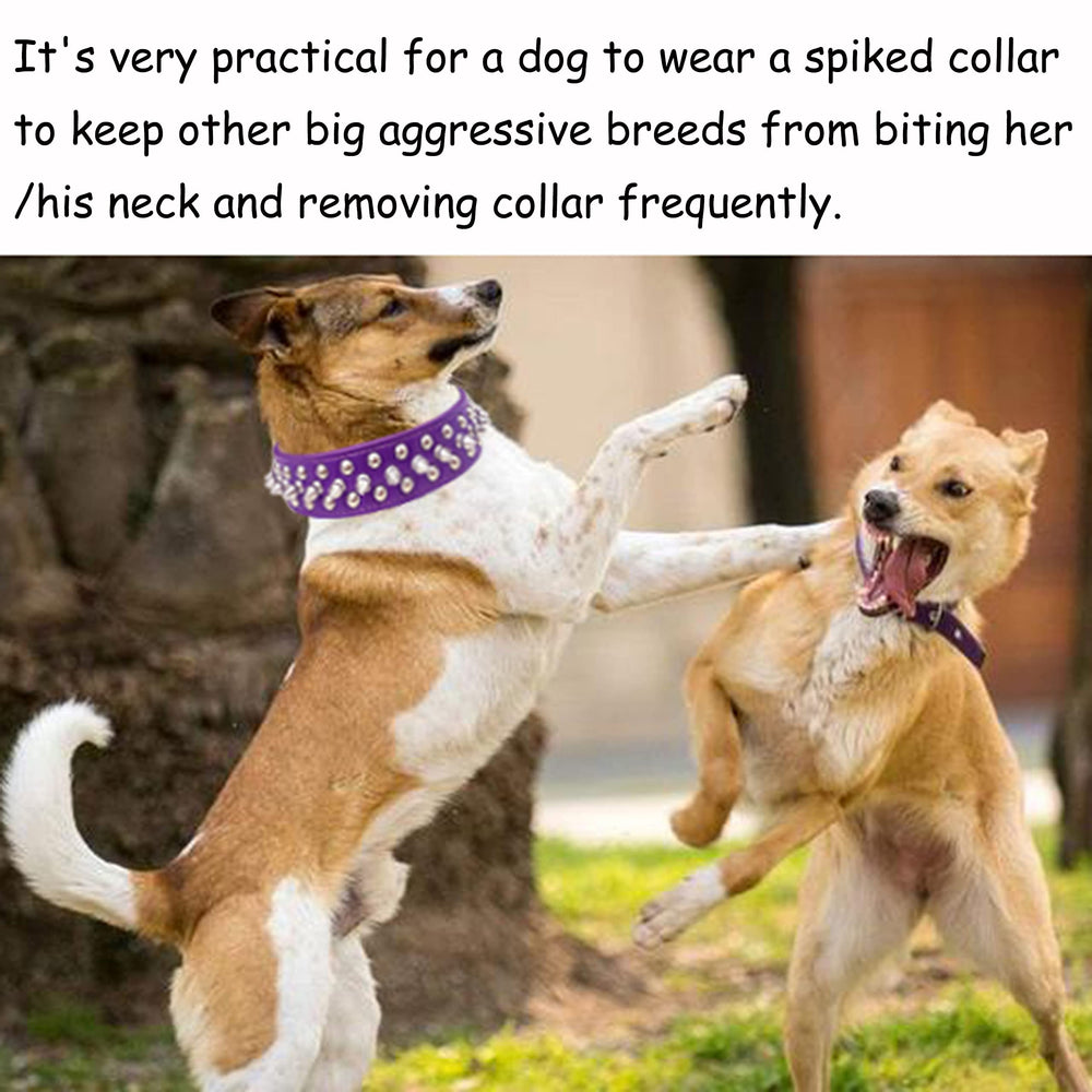 Guía de tallas TEEMERRYCA para ajustar el collar a razas.